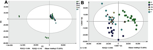 Figure 1 PCA analysis and OPLS-DA analysis of serum metabolites in each group of patients. (A) PCA analysis of CON, IF, LSIL, HSIL and CC groups. (B) PLS-DA analysis of CON, IF, LSIL, HSIL and CC groups.