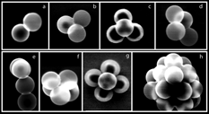 FIG. 6 A gallery of micrographs of agglomerates of 302 nm PSL spheres: (a) doublet; (b) compact triplet; (c) compact quadruplet; (d) non-compact quadruplet; (e) Y-shaped quadruplet; (f) compact quintuplet; (g) flower shaped quintuplet; and (h) a large agglomerate with over 18 PSL spheres.