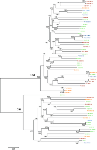 Fig. 1 The phylogenetic tree generated based on C. concisus core genome.The phylogenetic tree based on the core genome of 63 oral C. concisus strains (the genomes of 38 strains were sequenced in this study) was generated to show the GS1 and GS2 strains. The phylogenetic tree was generated using Roary. Strains from active CD, active UC, remission CD and healthy controls were coloured in red, blue, orange and green, respectively. Bootstrap values were generated from 1000 replicates. Bootstrap values of more than 70 were indicated. GS genomospecies