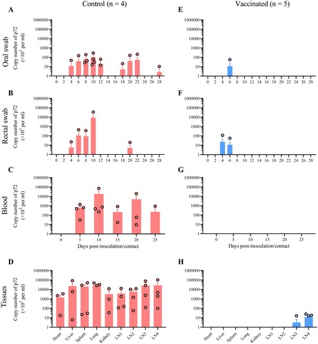 Figure 4. Viral shedding and replication in HLJ/18-7GD-vaccinated pigs challenged with the genotype II lower lethal variant HLJ/HRB1/20. HLJ/18-7GD-vaccinated and control pigs were challenged with 106 TCID50 of the genotype II lower virulent variant HLJ/HRB1/20. Oral and rectal swabs and blood were collected at the indicated days post-challenge. The indicated tissue samples were collected from the dead pigs and surviving pigs that were euthanized on day 28 post-challenge. Viral DNA in these samples was extracted and detected using qPCR. LN1, intestinal lymph node; LN2, inguinal lymph node; LN3, submaxillary lymph node; LN4, bronchial lymph node.