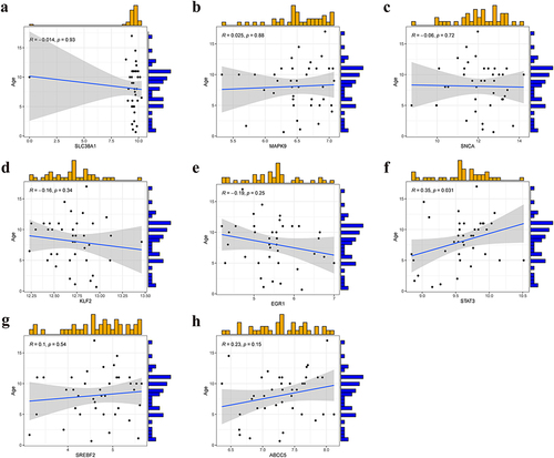 Figure 11 Clinical correlation analysis between 8 gene biomakers and the ages of OM patients. Clinical correlation analysis of SLC38A1 (a), MAPK9 (b), SNCA (c), KLF2 (d), EGR1 (e), STAT3 (f), SREBF2 (g) and ABCC5 (h) in the validation set: R>0 indicates the two variables are positively correlated; R<0 indicates the two variables are negatively correlated; P<0.05 represents that the two variables are significantly correlated.