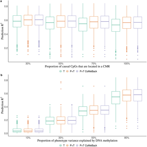 Figure 1. Simulation study. Prediction R2 of methylation risk scores (MRS) estimated with pruning and thresholding + Co-Methylation with genomic CpG Background ((P+T CoMeBack), P+T and thresholding (T) method in dependence of (A) the proportion of causal CpG sites in co-methylation regions (CMRs) and (B) proportion of phenotype variance explained by DNA methylation, among Indian participants. For each simulation, the discovery cohort was repeatedly and randomly split into a training set comprising 762 Indians and a testing set comprising 136 people of the same ancestry. Phenotypes were simulated without an influence of ancestry. Results are shown for (a) different proportions of causal CpGs located in CMR (30%, 50%, 70%, 100%) and (b) different proportions of phenotype variance explained by DNA methylation (10%, 30%, 50%, 80%). Each box represents the distribution of prediction accuracy across 1000 simulations, where the central mark is the median and the edges of the box are the 25th and 75th percentiles.