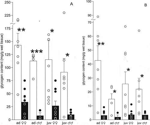 Figure 3. Glycogen content (mg/g of wet tissue) in the liver (a) and muscles gastrocnemius (b) of the moor frogs in autumn (control) and after freezing to −6°C (experiment). Control – white columns; freezing – black columns; mean ± SEM; circles, individual data points; asterisks indicate significant differences between control and experimental group (*P < 0.05; **P < 0.01; ***P < 0.001).