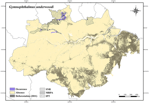 Figure 43. Occurrence area and records of Gymnophtalmus underwoodi in the Brazilian Amazonia, showing the overlap with protected and deforested areas.
