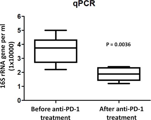 Figure 2 Quantification of bacterial 16S rRNA gene copies in BAL before and after anti-PD-1 treatment. The y axis indicates the 16S rRNA gene copy number by quantitative PCR. Each sample was analyzed in triplicate. Statistics was performed using Mann–Whitney test.