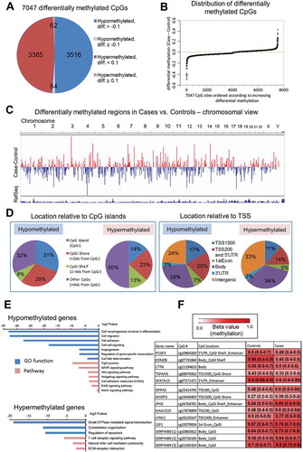 Figure 2. The landscape of DNA methylation delineated using Illumina Infinium Human Methylation 450K BeadChip microarray platform in blood DNA collected after conventional diagnosis with hepatocellular carcinoma (HCC). (A) Pie chart of the 7,047 CpG sites differentially methylated between HCC cases and matched healthy controls. Diff. refers to differential methylation (delta beta = case beta value – control beta value where beta value refers to methylation level). (B) Distribution of differences in DNA methylation levels (delta beta values = differential methylation, Y axis) across all 7,047 differentially methylated loci (X axis). (C) Chromosomal view of 7,047 differentially methylated CpG sites. Regions differentially methylated in HCC cases vs. matched healthy controls are shown in the bar track of the chromosomal views, with blue indicating hypomethylation and red indicating hypermethylation (Case minus Control). (D) Classification of differentially methylated CpG sites according to their location relative to CpG islands (CpGI) and transcription start site (TSS). Hypomethylated loci are located in CpGI and CpGI shores (left panel), and within promoters and 5'UTR regions (right panel) at higher frequency than hypermethylated sites. (E) Functional analyzes using GO, KEGG and DAVID knowledgebase indicate biological functions and pathways associated with genes corresponding to CpG sites hypomethylated and hypermethylated in cases vs. controls. (F) A color-coded table showing median methylation levels and first and third quartile values (in brackets) in cases (average of n = 24) and matched controls (average of n = 24) for the 14 CpG loci corresponding to 12 genes selected for further validation.
