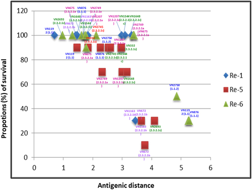 Fig. 4 Antigenic distances between vaccine and challenge viruses plotted against vaccine efficacy (percent survival), as determined by in vivo vaccine challenge experiments.Each data point represents results from a challenge trial using 10 chickens/challenge virus and survival following intranasal inoculation with a dose of 106 TCID50. Blue diamonds, red squares and green triangles represent chickens vaccinated with Re-1, Re-5 and Re-6, respectively. The challenge viruses used are identified for each group of vaccinated chickens with color-coded text indicating strain name and clade