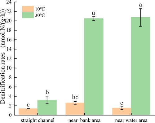 Figure 2. Denitrification rates of at two different temperatures measured in different sediment samples. Letters indicate significant differences between different temperatures at the same C/N ratio.