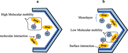 Figure 15 Schematic illustration of drug-coformer/MPS located (a) in the center of MPS, and (b) on the surface of MPS.