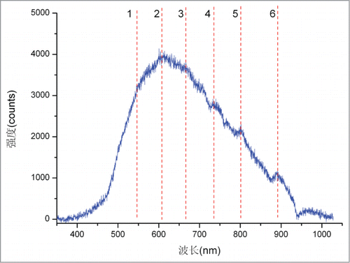 Figure 1. Original Vis/NIR diffuse reflection spectroscopy.