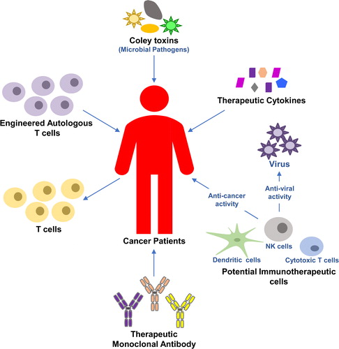 Figure 1. Cancer and immunotherapy.