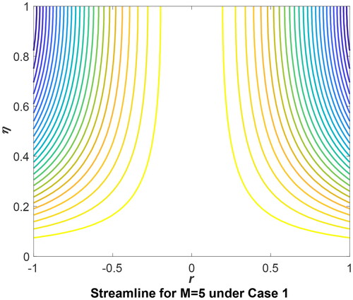 Figure 10. Streamline for M = 5 under Case 1.