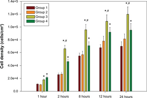 Figure 8 C3H10T1/2 cell growth on TiO2 nanotube arrays (group 3 and group 4) compared with mechanically polished titanium (group 1) and acid-etched titanium (group 2) after 2 hours, 8 hours, 12 hours, and 24 hours of cell culture.Notes: e+8 means × 108; *P < 0.05 compared with titanium; #P < 0.05 compared with group 4.