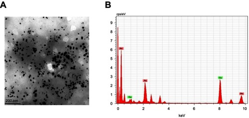 Figure 4 High resolution transmission electron microscopy (TEM) (A) and energy dispersive X-ray analysis (EDAX) (B) of biosynthesized gold nanoparticles from Chinese medicinal herb Curcuma wenyujin (CWAuNPs).