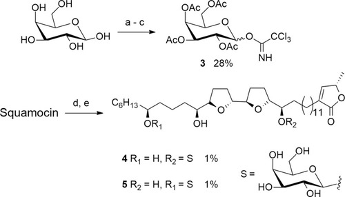 Scheme 1 Synthesis of galactosyl squamocin 4 and 5. Reagents and conditions: (a) Ac2O, pyridine, rt, N2, 16 h, 100%. (b) hydrazine acetate, DMF, 40 °C, 4 h, 91%. (c) trichloroacetonitrile, DBU, 0°C, 7 h, 31%. (d) 3, TMSOTf, CH2Cl2, rt, 16 h. (e) Et3N:MeOH:H2O (1:8:1, v/v), 35°C, 30 h.