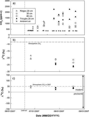 Figure 2 Seasonal pattern of CO2 in the soil pore space in ridges (at 20, 30, and 60 cm depth) and troughs (20 cm) and of CO2 in ambient air at South Mountain. (a) Concentrations, (b) δ13C ratios, and (c) Δ14C signatures. Symbols represent point measurements. Dashed line indicates day of leaf-out (18 June 2007).