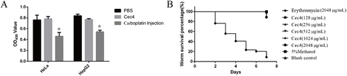 Figure 4 Acute toxicity of Cec4 to mammalian cells and C. elegans. (A) Effect of Cec4 on proliferation of HeLa cells and HepG2 cells. X axis shows different cell lines, Y axis indicates CCK-8 colorimetric results. (B) Effects of Cec4 and erythromycin on survival rate of C. elegans. The X-axis is observation days after treatment with erythromycin and Cec4, and the Y-axis is survival rate. Compared with erythromycin, the survival rate of C. elegans treated with Cec4 was much higher. Results were presented as mean ± SD. *P < 0.05.