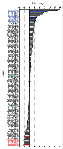 Figure 4. Effect of Dis3 knockdown on all wing imaginal disc miRNAs detected above threshold levels. Fold changes (Dis3KD vs grouped parental controls) from miRNA-seq data of the 109 detected miRNAs in the wing imaginal disc. miR-987–5p shows the greatest increase in expression (49.5-fold) while miR-125–5p shows the greatest decrease in expression (−2.4-fold). miRNAs that increase ≥2-fold are highlighted in blue font and those selected for further analysis are shown with blue bars. miRNAs that decrease ≥2-fold are highlighted in red font and those selected for further analysis shown with red bars. Selected miRNAs that remain unchanged are highlighted in green font. Dotted lines represent +/−2-fold changes. (n ≥2, error bars represent standard error).