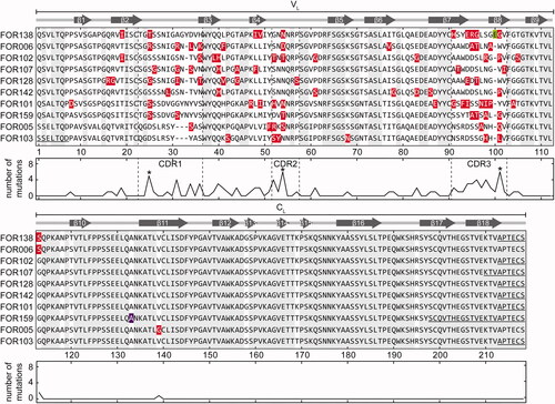 Figure 1. Location of mutational positions in the patient-specific LC proteins. Sequence alignment of the 10 LCs. Amino acid positions are numbered consecutively. Red: mutation, Green: non-encoded amino acid that arose from junctional diversity, Violet: uncertain position. Underlined amino acids at the C-terminus could not be resolved by cDNA sequencing and represent the amino acids of the respective GL. Above the sequence alignment, the secondary structure elements corresponding to the native structure of a LC (PDB: 6QB6-L) are shown. Arrows indicate β strands and continuous lines indicate ordered conformation. Below the sequence, number of mutations per amino acid position is plotted. Asterisks indicate a mutated position in more than 50% of all LCs. The sequences shown are composed of cDNA sequencing and MS results. Sequences corresponding to FOR005 and FOR006 were already published [Citation28].
