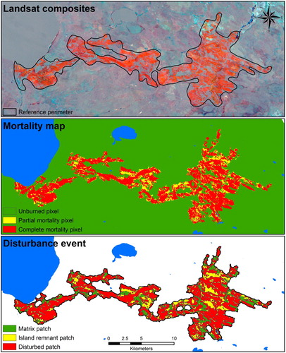 Figure 3. Process to derive a disturbance event.Notes: The top thumbnail represents the difference between pre- and post-fire composites, where the red channel corresponds to the difference in Landsat NIR band (4 in TM and 5 in OLI), the green channel to the difference in the SWIR 1 band (5 in TM and 6 in OLI) and the blue channel the difference in the SWIR 2 band (7 in TM and OLI). The middle thumbnail represents the three-class mortality map from the RF classifier, where green corresponds to unburned, yellow to partial mortality and red complete mortality. The bottom figure corresponds to the disturbance event by Andison (Citation2012), where red corresponds to disturbed, yellow to IR and dark green to MR (colour online only).