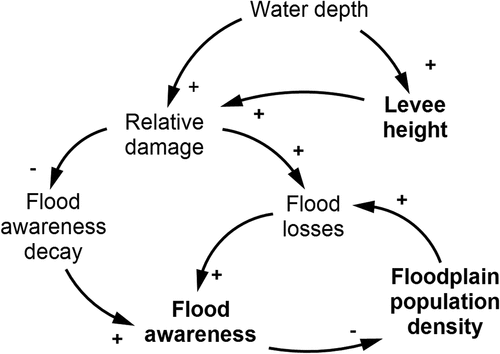 Figure 1. Causal loop diagram of the socio-hydrological model, where arrows are feedbacks between state variables (bold text) and fluxes, and the symbols + and – represent positive and negative feedback, respectively.