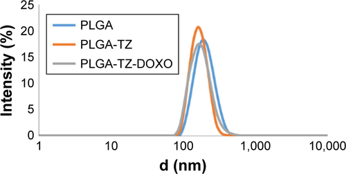 Figure S3 Dynamic light scattering measurement of NPs.Notes: Size distribution of PLGA, PLGA-TZ and PLGA-TZ-DOXO. Results are expressed as intensity distribution. Data are representative of the average size distribution of at least three batches of nanoparticles.Abbreviations: NPs, nanoparticles; PLGA, poly(lactic-co-glycolic) acid; TZ, trastuzumab; DOXO, doxorubicin.