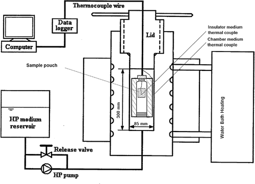 Figure 1 Schematic diagram of the high pressure experimental setup showing the insulator details.