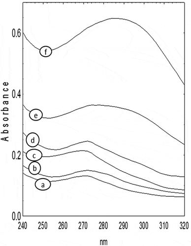 Figure 1. UV–Vis spectra of extract of thermal treated and non-thermal-treated samples. a) mesocarp flour (MF), b) mesocarp-seed flour (MSF), c) seed flour (SF), d) seed flour thermal treated (SFT), e) mesocarp flour thermal treated (MFT), f) mesocarp-seed flour thermal treated (MSFT).Figura 1. Espectro UV–Vis de extractos de muestras térmicamente tratadas y no térmicamente tratadas. a) harina de mesocarpo (MF), b) harina de mesocarpo y semilla (MSF), c) harina de semilla (SF), d) harina de semilla térmicamente tratada (SFT), e) harina de mesocarpo térmicamente tratada (MFT), f) harina de mesocarpo y semilla térmicamente tratada (MSFT).