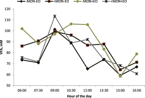 Figure 3. Treatment effects on total VFA during a 12-h feeding interval. Designations: -MON = no monensin; +MON = with monensin; -EO = no essential oils; +EO = with essential oils. There was interaction (MONxEO) effect at 06:00 h (P < 0.01); 7:30 h (P = 0.03) and 10:30 h (P < 0.01). The interaction of treatment with time was not appreciable (P = 0.32).