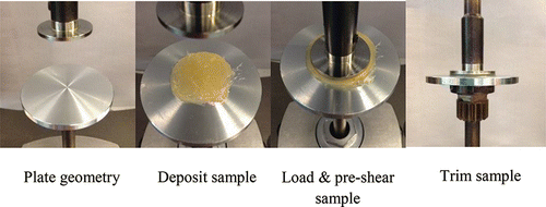 Figure 2. Loading and preshear procedure.