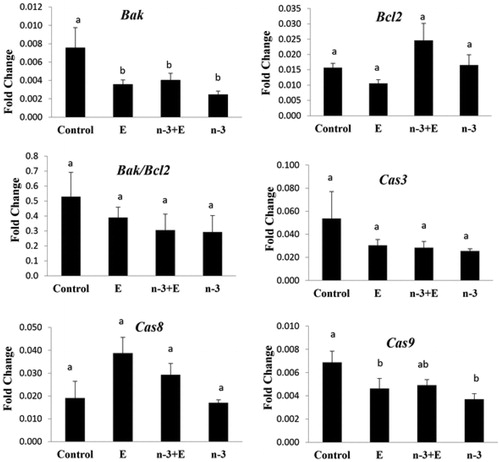 Figure 4 Fold change of Bak, Bcl-2, Caspase 3, Caspase 8, and Caspase 9 in experimental groups (n = 6 in each group): basal diet +1.5% sunflower oil (control; C); basal diet +1.5% sunflower oil +1.1 U alpha-tocopherol/hen/day (E); basal diet+ 1.5% fish oil +1.1 U alpha-tocopherol/hen/day (n-3 + E) and basal diet +1.5% fish oil (n-3). Values are given as mean ± SEM. Groups followed by the same letter are not significantly different at p < .05.