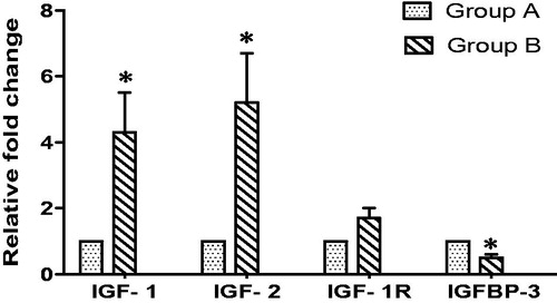 Figure 2. Relative fold change of IGF-1, IGF-2, IGF-1 R and IGFBP-3 in prostate tissues of BPH patients (Group A: Prostate size <30 Ml, Group B: Prostate size >30 ml). Data were expressed in Mean ± SEM. *p = .001 for IGF-1, p = .003 for IGF-2, p = .003 for IGFBP-3.