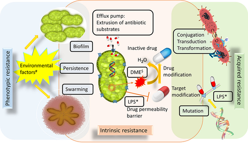 Figure 1. Various resistance mechanisms developed by bacteria to overcome antibacterial agents. $DME-Drug Metabolizing Enzymes (e.g., β-lactamase); *LPS-Lipopolysaccharides; #Environmental factors (e.g., high or low temperature, pH and nutrients).