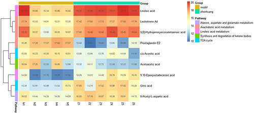 Figure 6 The clustering heatmap of the enriched key differential metabolites in different samples.