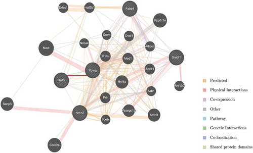 Figure 4. Interaction networks between NSDHL and eligible molecules.