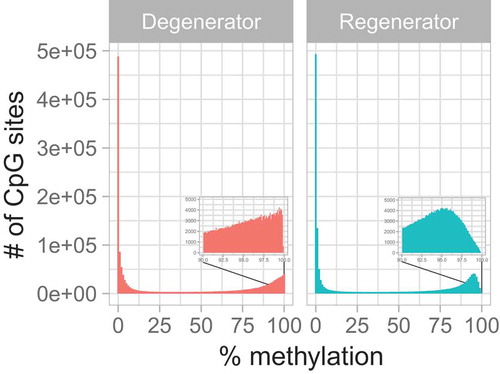 Figure 1. Distribution of percentage methylation within groups. This histogram illustrates the overall distribution of the percent methylation of the measured 1,527,600 CpG sites. The boxes within each panel represent zoomed-in images covering the percent methylation between 90% and 100%.