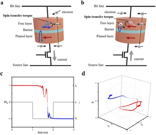 Figure 5. Writing mechanism of typical STT. (a) Writing a parallel magnetization configuration, in which the current is applied from FL to PL. (b) Writing an anti-parallel magnetization configuration, in which the current is applied from PL to FL. (c) Simulated STT-driven magnetization dynamics in a free layer versus time. (d) Magnetization trajectory corresponding to (c) in space.