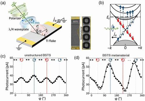 Figure 2. Helicity-dependent photocurrent generation from CPGE. (a) Experimental setup of the helicity-dependent photocurrent generation, right: the image of the BSTS metamaterial patterned with square ring array. (b) Illustration of the structural enhanced CPGE. (c),(d) Photocurrents measured on an unstructured BSTS surface (c), and BSTS metamaterial (d). Reproduced from [Citation51].