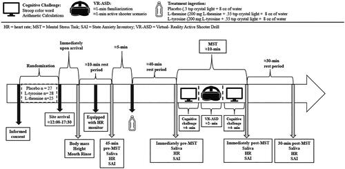 Figure 2. Overview of experimental procedures. Note, the figure was adopted from our past work (McAllister et al., Citation2024).