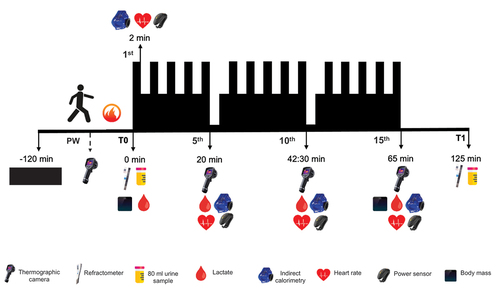 Figure 1. Protocol for visits 3 and 4, for intervention groups PL (28.1°C) and GLY (28.3°C) including a rectangular test and the different variables that were measured. PW = post-warm-up.