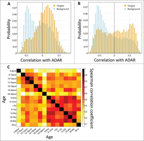 Figure 3. ADAR-target correlations over development. The distribution of spatial correlation values between ADAR and targets with intronic Alus (orange) and between ADAR and a background set (blue), at 2 developmental time points: (A) 10-13 PCW and (B) 6-12 months. (C) Differential co-expression of ADAR and targets. Heatmap of Spearman correlation rho values showing the temporal cross-correlation between target gene lists ranked by their correlation with ADAR.