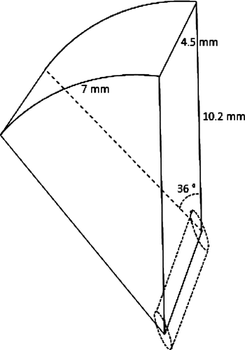Figure 2. Geometry of the six transducers: 4.5-mm width and 7-mm length segment of a 10.2 mm radius cylinder. The dotted lines represent the focal volume, similar to an elliptic cylinder.