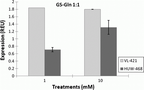 Figure 2.  Expression of Glutamine synthase gene family member (Gln1;1) in leaves of HUW-468 and VL-421 in dependence of N concentration in nutrient solution.