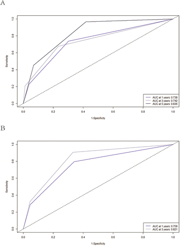 Figure 3 ROC curves of the nomogram in the training and validation cohort. (A) In the training cohort, the AUCs for 1-, 3- and 5-year RFS were 0.738, 0.742 and 0.836, respectively. (B) In the validation cohort, the AUCs for 1- and 3-year RFS were 0.758 and 0.821, respectively.