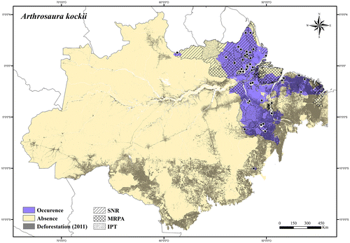 Figure 22. Occurrence area and records of Arthrosaura kockii in the Brazilian Amazonia, showing the overlap with protected and deforested areas.