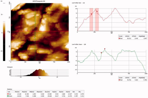 Figure 5. AFM analysis of AuNPs synthesized from CR-AuNPs.