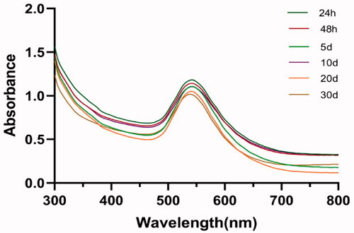Figure 2. The UV–visible spectrum absorption pattern of Do-AuNP at different time.