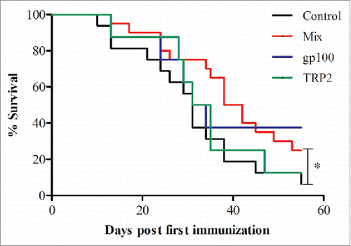 Figure 2. Prolonged survival in mice vaccinated with Mix mRNA constructs. Melanoma-bearing ret transgenic mice were vaccinated three times at weekly intervals with BMDCs electroporated with 10–20 μg transcribed mRNA of gp100 (n = 8), TRP-2 (n = 8), Mix constructs combinations (n = 20) or empty construct (Control group, n = 20). Survival was monitored up to day 55. Presented are results obtained from two consecutive experiments. *p = 0.0454 Mix vs. control group.