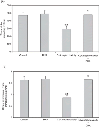 Figure 3. Effect of DHA administration on the renal tissue nitrite (A), and urinary excretion of nitrite (B) modified by CsA treatment in rats. Data are presented as mean ± SD, n = 12. Multiple comparisons were achieved using one-way ANOVA followed by Tukey–Kramer as post-ANOVA test.Note: a, b, and c indicate significant change from control, DHA, and CsA nephrotoxicity groups, respectively, at p < 0.05.