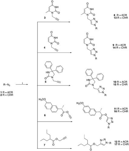 Scheme 1. Reagents and conditions: (i) CuSO4·5H2O, sodium ascorbate, either H2O/tBuOH (1:1 v/v) or H2O/THF (1:1 v/v), 80 or 60 °C, overnight (ACR = 9-acridinyl; CHR = 2H-chromen-2-one-3-yl).
